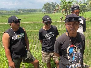 Keren! Kelompok Punk Gunungkidul Terjun ke Sawah Kembangkan Pertanian Organik