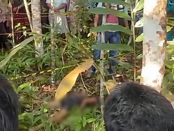 Anak 12 Tahun Ditemukan Tewas di Area Perkebunan OKI, Ada Luka pada Tubuh