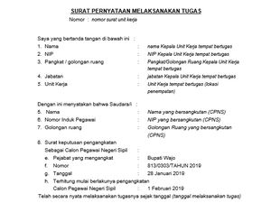 3 Contoh SPMT CPNS Berbagai Instansi Lengkap Fungsi dan Cara Mendapatkannya