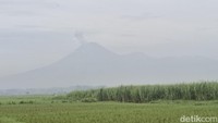 Gunung Semeru Erupsi 2 Kali, Semburkan Abu Setinggi 1 Km