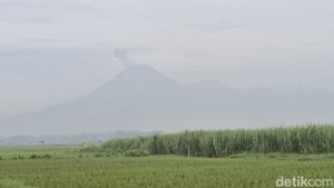 Gunung Semeru Erupsi 7 Kali Pagi Ini, Kolom Abu Capai 1,2 Km