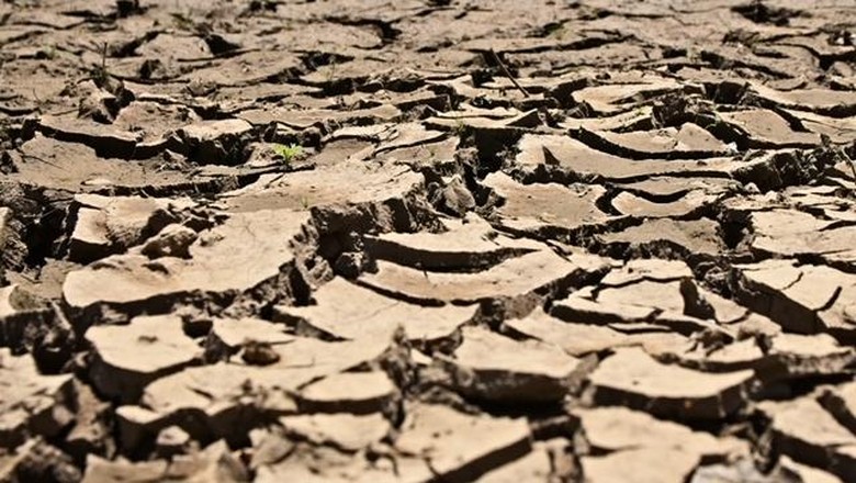 Majalengka Siaga El Nino, Karhutla hingga Kekeringan Mengintai