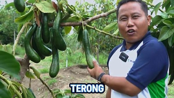 Narji Kini Jadi Juragan Lahan, Jago Tanam Kangkung hingga Melon Manis!