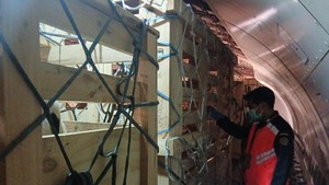 Ratusan Domba-Sapi Perah Australia Tiba di RI