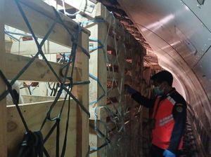 Ratusan Domba-Sapi Perah Australia Tiba di RI