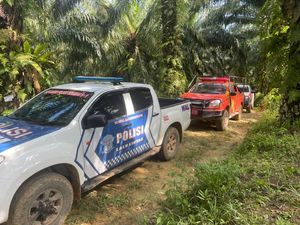 Helikopter Bawa 8 Orang Jatuh di Kalbar, Ekor Ditemukan 3 Km dari Titik Hilang