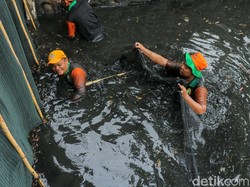 Operasi Basmi Ikan Sapu-sapu di Jakarta, 6,9 Ton Ditangkap
