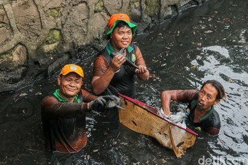 Berantas Ikan Sapu-sapu, Petugas Sisir Kali