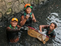 Video: Komitmen Pemprov DKI Bebersih Ikan Sapu-sapu: Rusak Ekosistem Perairan