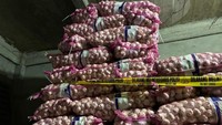 Temuan Bawang Impor Ilegal di Pontianak, Mentan Sebut Ada Mafia Pangan