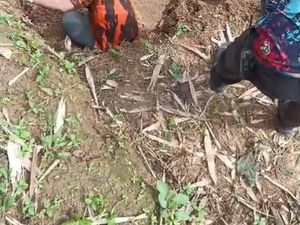 Pemakaman Cianjur Longsor, 2 Jenazah Tergantung di Tebing