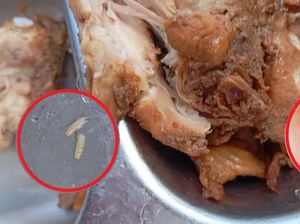 Viral Menu MBG di Lembata NTT Isi Ulat Meliuk, Kepala SPPG Bilang Begini