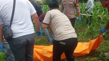 Geger Mayat Pria Ditemukan di Kebun Jagung Bogor, Polisi Selidiki
