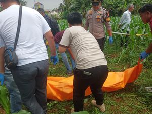 Geger Mayat Pria Ditemukan di Kebun Jagung Bogor, Polisi Selidiki