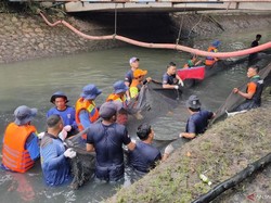 Tumpas Ikan Sapu-sapu, Petugas di Jakbar Dapat Hadiah Uang hingga Tiket Ancol
