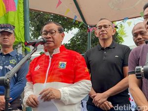 Video Pramono soal Ikan Sapu-sapu: Cute tapi Berbahaya