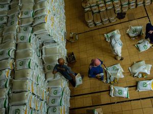 Bantuan Pangan Diperpanjang hingga Juni, Bapanas Genjot Distribusi