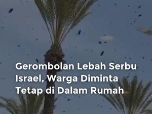 Gerombolan Lebah Muncul di Israel, Warga Diminta Tinggal di Rumah