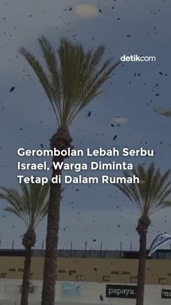 Video: Israel Diserang Gerombolan Lebah, Warga Diminta Tetap di Rumah