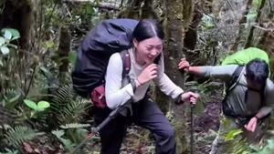 Wendy Walters Putar Balik Turun, Hentikan Pendakian Gunung Leuser
