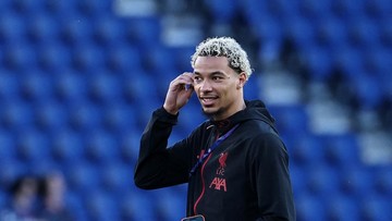 Slot: Comeback Stronger, Hugo!