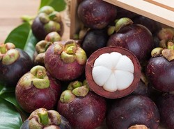 Buah Manggis Langka, Kini Harganya Selangit di Pasar Malaysia