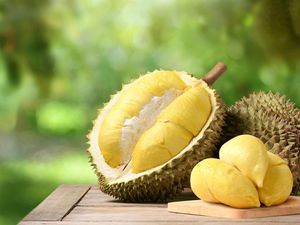 Anjlok! Harga Durian Black Thorn Malaysia Kini Mulai Rp 50 Ribuan