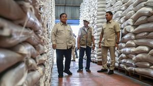 Prabowo Sidak Gudang Bulog di Magelang, Pastikan Stok Beras Aman