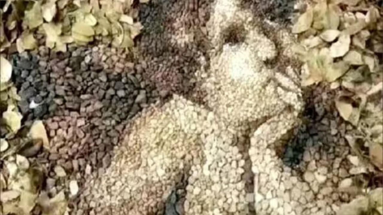 tes kepribadian ilusi optik. Gambar daun atau wajah dewa asmara yang pertama dilihat ungkap kamu bahagia atau dilanda stres.