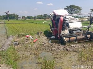 Mesin Padi Misterius Mangkrak 3 Minggu di Tengah Sawah Kalikotes Klaten