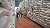 Ditinjau Prabowo, Gudang BULOG di Magelang Terisi Penuh & Optimal