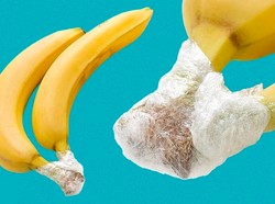 Rahasia Simpan Pisang agar Awet, Cuma Modal Cara Sederhana Ini!