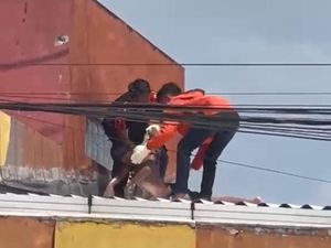 Bocah Jember Tewas Tersengat Listrik Saat Ambil Layang-layang di Atap