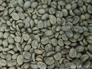 Karangsari, Desa Kopi di Kuningan Penggerak Ekonomi Warga