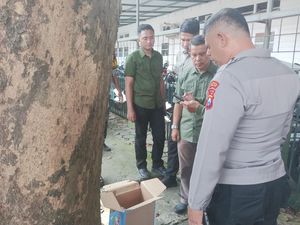 Bayi 10 Hari Ditemukan Tewas Terbungkus Kardus di Bawah Pohon Malang