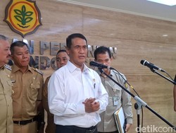 Pemerintah Beri Hibah Tanaman Tebu-Kopi & Irigasi Rp 12 T buat Petani