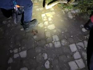 Hiii! Ular Piton 4 Meter Satroni Kos-kosan Banyumanik Semarang