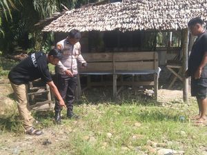 Pemuda di Lutim Ditikam Eks Rekan Kerja hingga Kritis, Pelaku Diburu