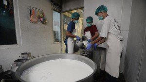 Produksi Susu Boyolali Tembus Ribuan Liter untuk Program MBG