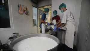 Produksi Susu Boyolali Tembus Ribuan Liter untuk Program MBG
