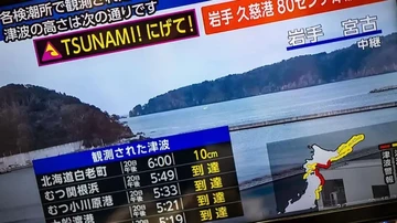 Kesaksian WNI Saat Gempa M 7,7 di Jepang: Guncangannya Lama