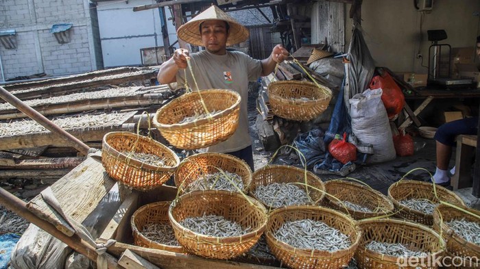 Cuaca Cerah Jaga Harga Ikan Teri Tetap Stabil Sejumlah nelayan menjemur ikan teri di area Cilincing, Jakarta Utara, Selasa (21/4/2026). Di bawah terik matahari, hamparan ikan teri terlihat memenuhi area pengeringan nan sederhana, mulai dari para-para bambu hingga jaring nan dibentangkan di atas tanah. Aktivitas ini menjadi pemandangan rutin saat musim panas tiba, ketika hasil tangkapan melimpah dan cuaca mendukung proses pengeringan alami.