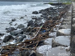 Sampah Kayu dan Bambu Menumpuk di Pantai Timur Pangandaran