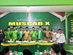 Buka Muscab PPP di Sumsel, Ketum Mardiono Tekankan Konsolidasi-Target 2029