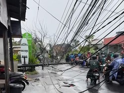 Hujan Deras Sebabkan Pohon Tumbang di Pecatu, 1 Pengendara Ojol Terluka