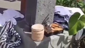 Ulah Turis India Kuras Barang di Kamar Hotel Ubud yang Bikin Geleng Kepala