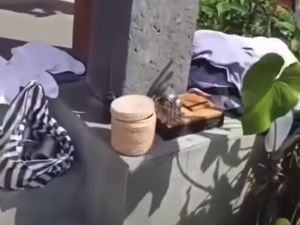 Ulah Turis India Kuras Barang di Kamar Hotel Ubud yang Bikin Geleng Kepala