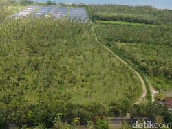 Lapas Kerobokan Overload, Relokasi ke Melaya On Progress