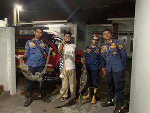 Bruk! 3 Biawak Jatuh dari Plafon Rumah Warga Bogor, Damkar Turun Tangan