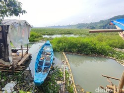 Nestapa Wisata Bendungan Leuwikeris Ciamis, Dipenuhi Eceng Gondok